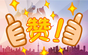 客户盛赞：“你们的服务态度真是行业******！”